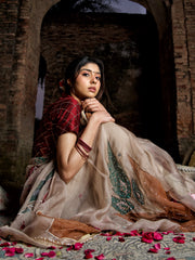 The Zeenat Hand-Painted Organza Saree with Embroidery